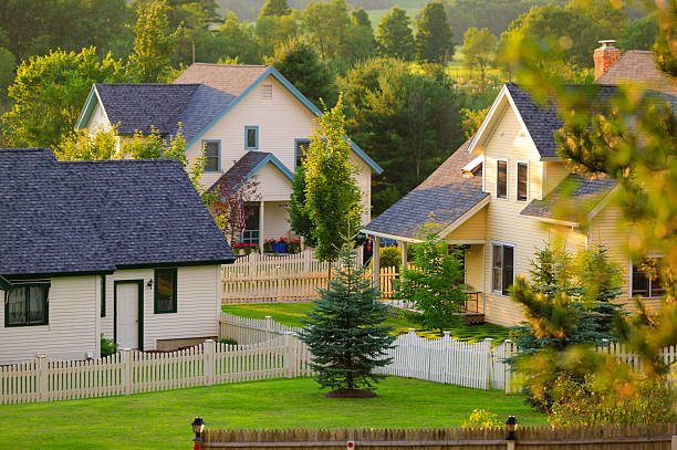 Homes in a leafy neighborhood at golden hour